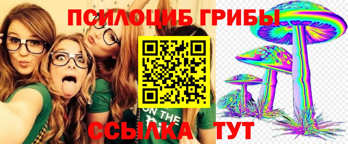 Киржач  Галлюциногенные грибы прущие грибы  Вход с VPN 