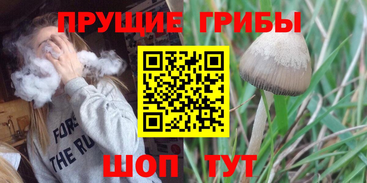 Псилоцибиновые грибы Psilocybine cubensis Киржач